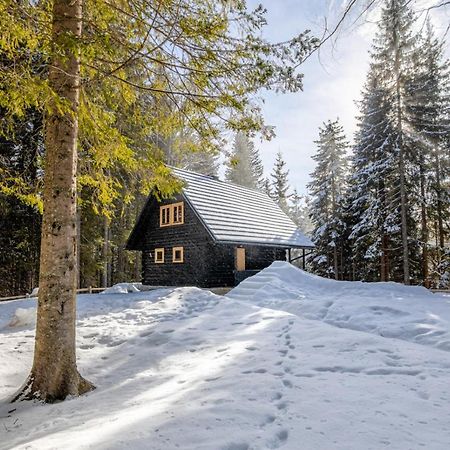 Cosy Lodge Pokljuka Goreljek Exterior photo